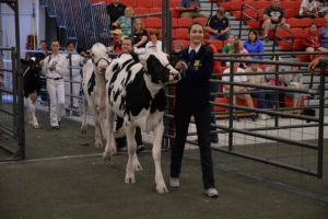 Dairy Show Entry Deadline