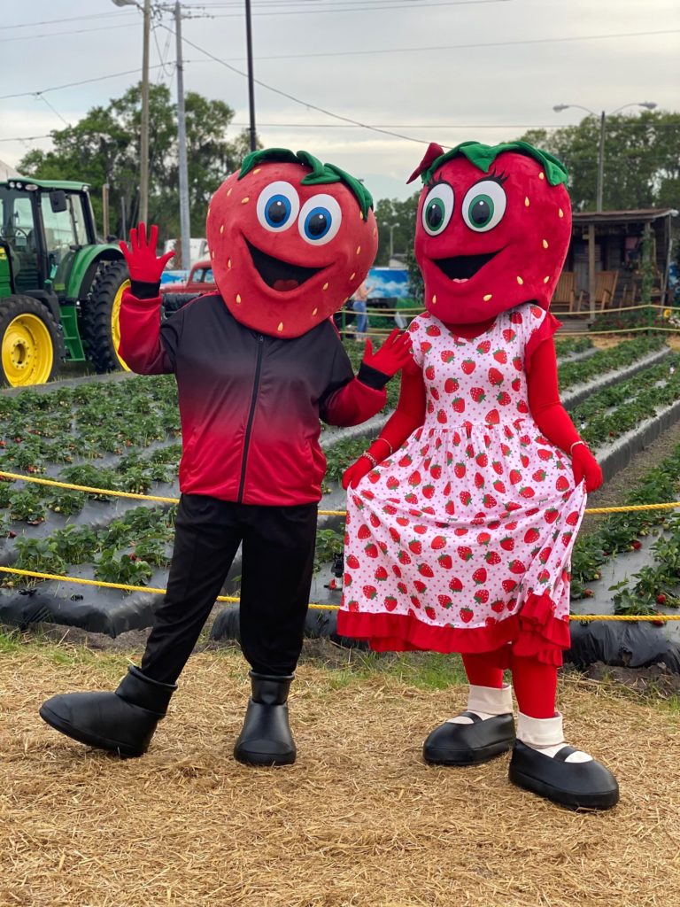 On Grounds Entertainment Florida Strawberry Festival